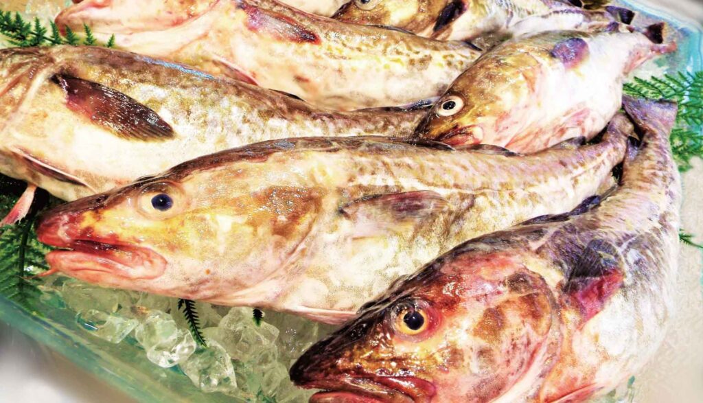たら子の食べ方 – 魚卵一筋 -三浦水産